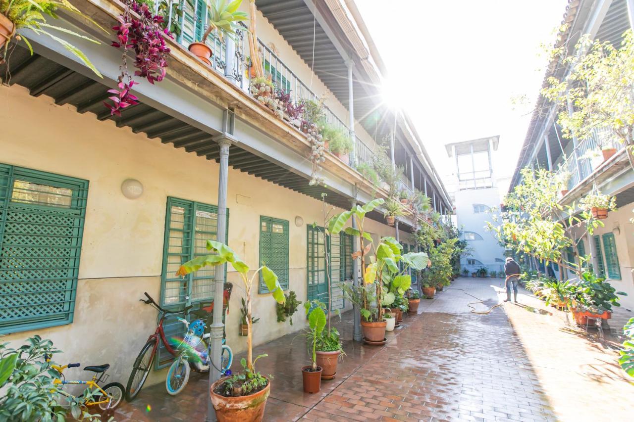 Apartamento 3 Dormitorios En Calle San Vicente. Sewilla Zewnętrze zdjęcie